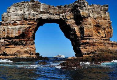 Галапагос – дайвинг експедиция с Galapagos Aggressor III