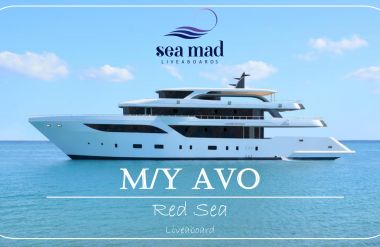 M/Y AVO