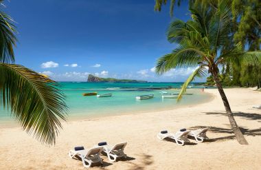 COIN DE MIRE ATTITUDE