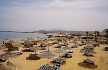 EAGLES PARADISE ABU SOMA