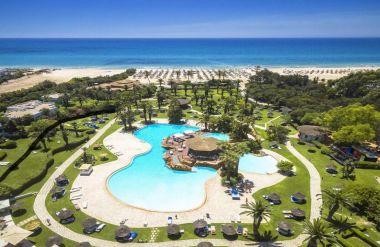 Sentido Phenicia Superior